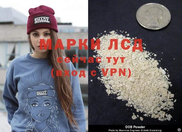 тгк Беломорск