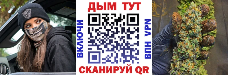 как найти закладки  Красный Холм  Каннабис индика 
